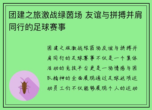 团建之旅激战绿茵场 友谊与拼搏并肩同行的足球赛事