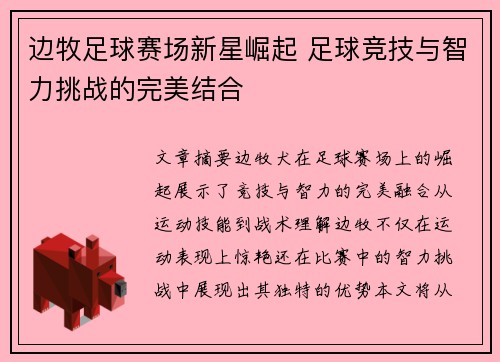 边牧足球赛场新星崛起 足球竞技与智力挑战的完美结合