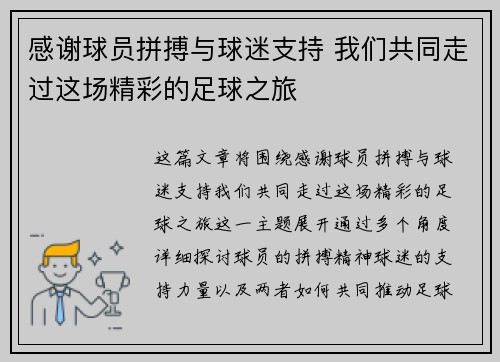 感谢球员拼搏与球迷支持 我们共同走过这场精彩的足球之旅
