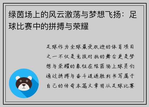 绿茵场上的风云激荡与梦想飞扬：足球比赛中的拼搏与荣耀