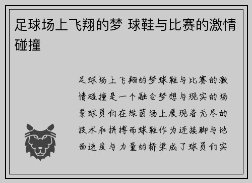 足球场上飞翔的梦 球鞋与比赛的激情碰撞