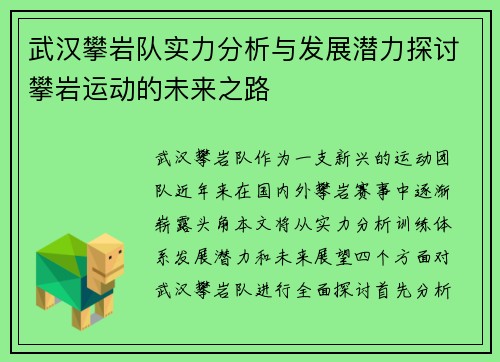 武汉攀岩队实力分析与发展潜力探讨攀岩运动的未来之路