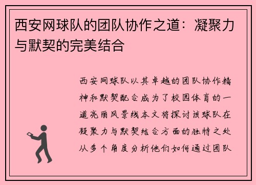 西安网球队的团队协作之道：凝聚力与默契的完美结合